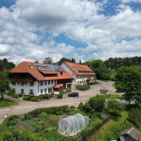 Haus Schlageter Lägenhet Dachsberg im Schwarzwald Exteriör bild