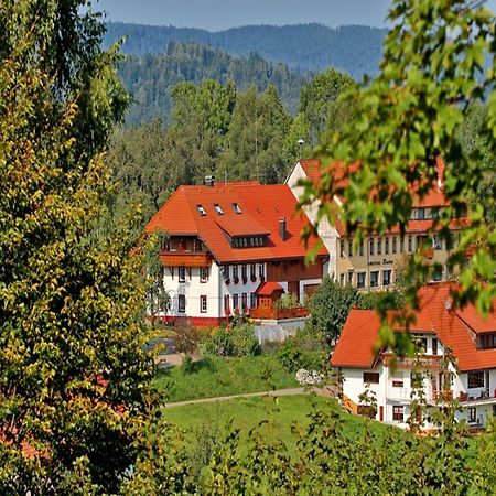 Haus Schlageter Lägenhet Dachsberg im Schwarzwald Exteriör bild