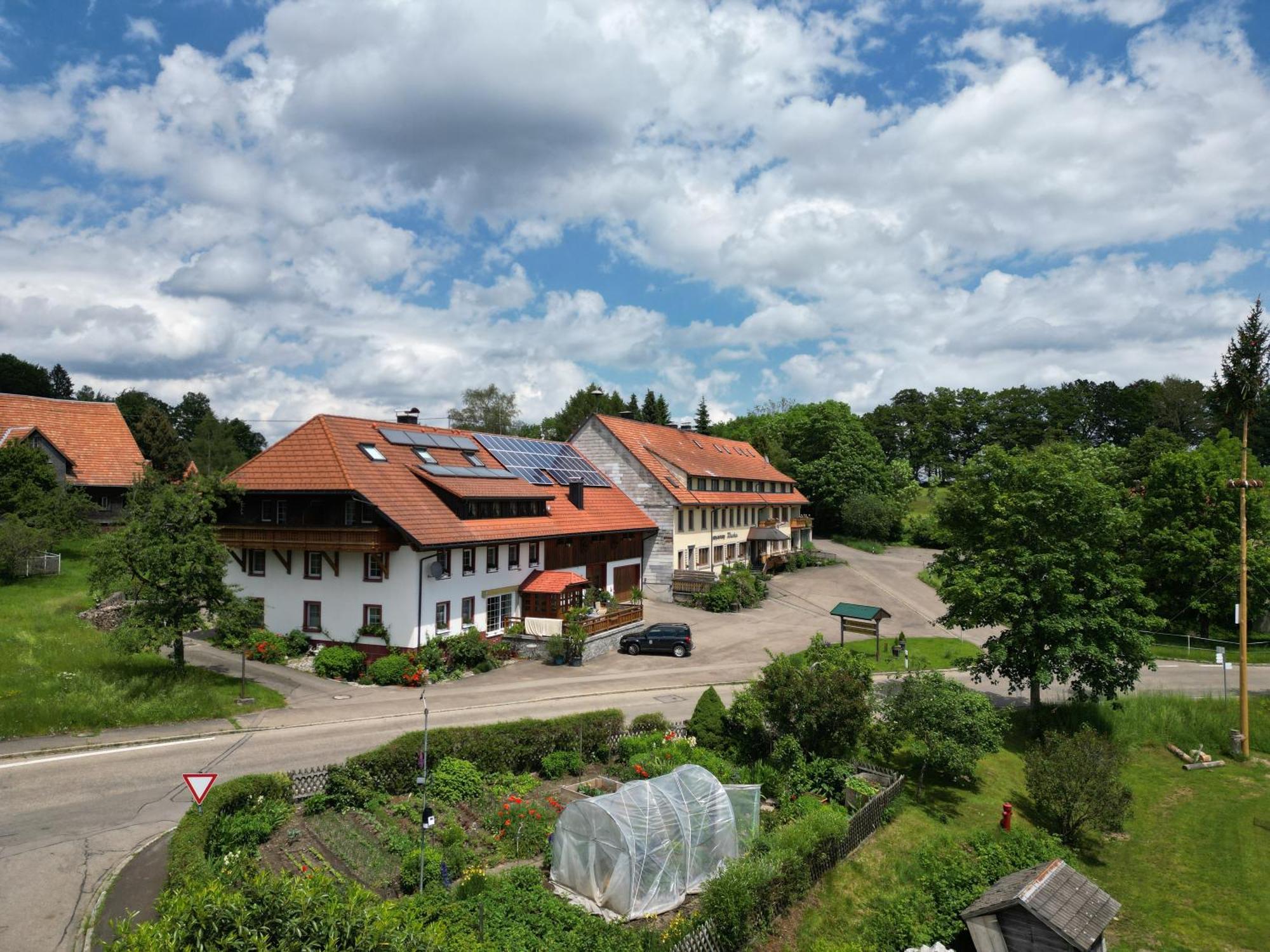 Haus Schlageter Lägenhet Dachsberg im Schwarzwald Exteriör bild
