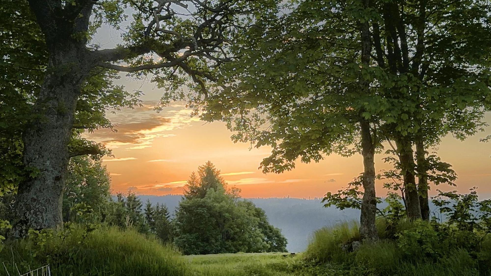 Haus Schlageter Lägenhet Dachsberg im Schwarzwald Exteriör bild
