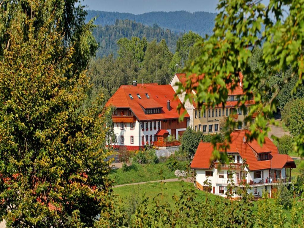 Haus Schlageter Lägenhet Dachsberg im Schwarzwald Exteriör bild